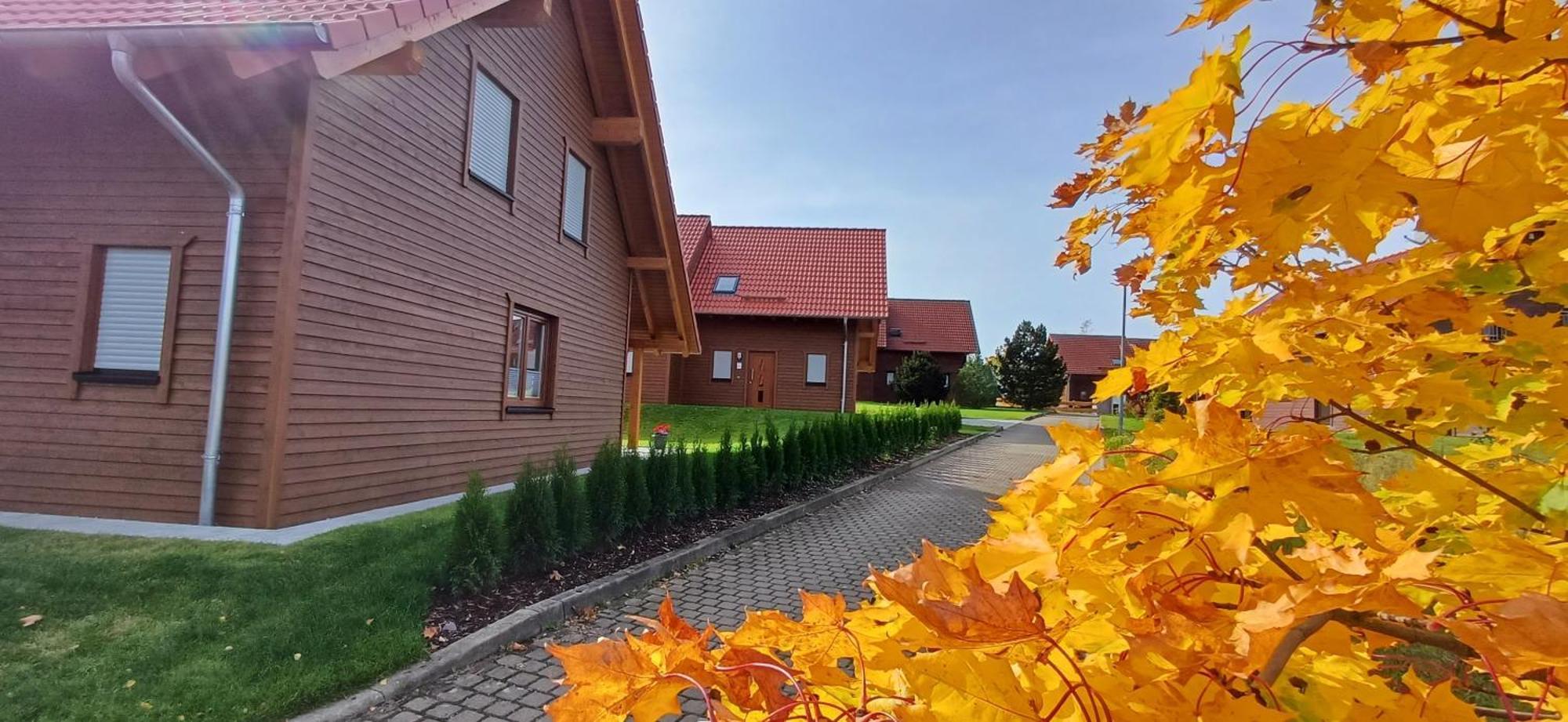 Premiumferienhaus Bhakti Hasselfelde Dış mekan fotoğraf